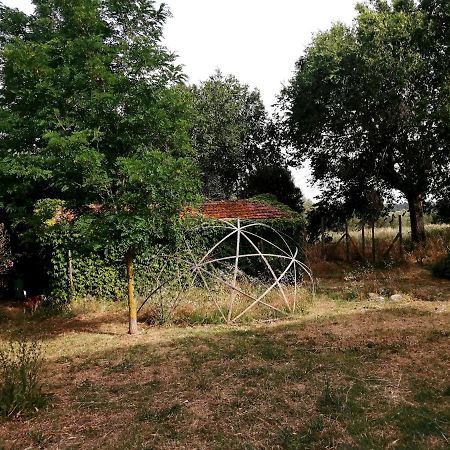 Da Pino Casa de hóspedes Montemerano Exterior foto