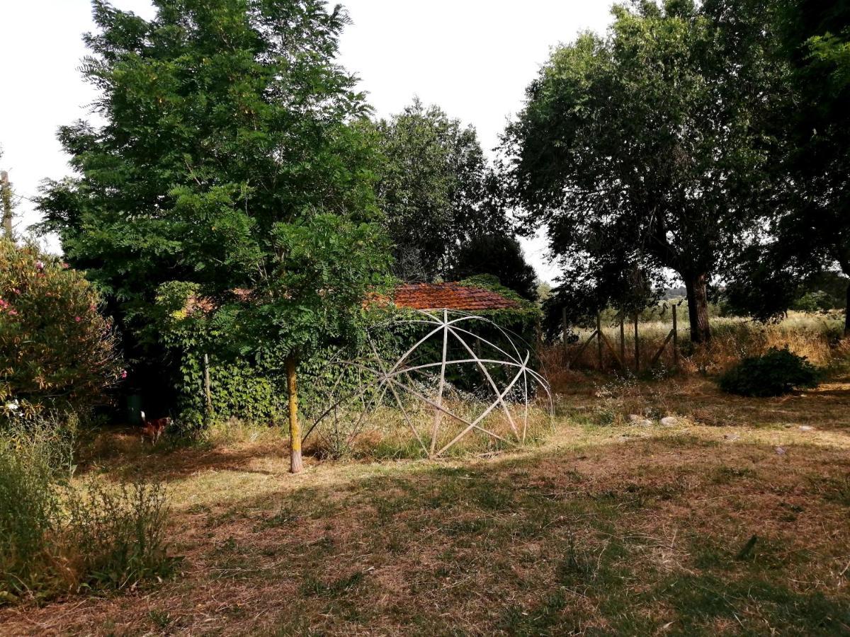 Da Pino Casa de hóspedes Montemerano Exterior foto