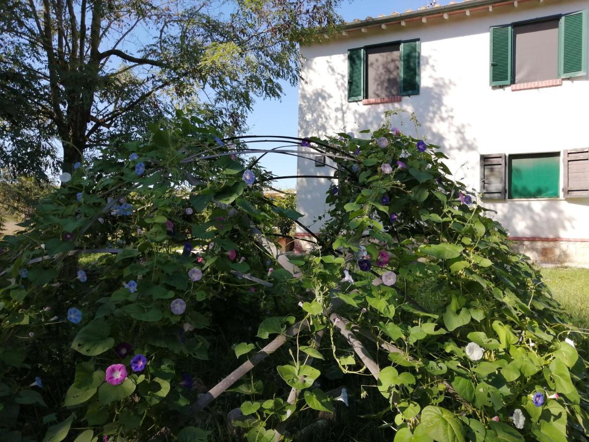 Da Pino Casa de hóspedes Montemerano Exterior foto